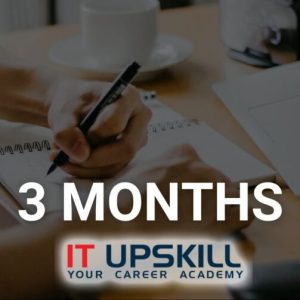 3-Month Career Path